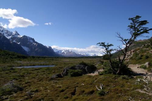 Fitz Roy