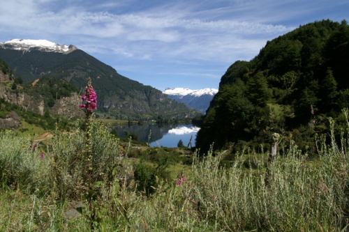 Carretera Norden