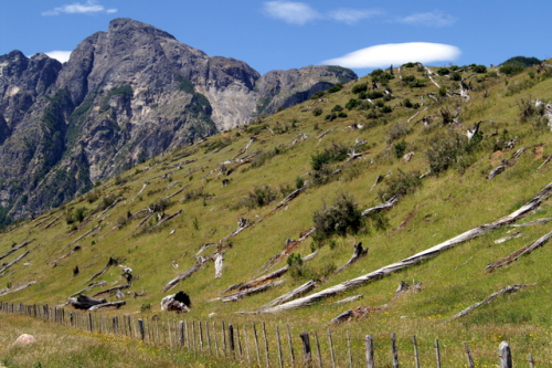 Carretera Norden