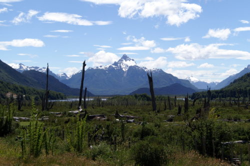 Carretera Norden