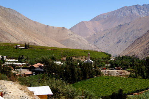 Elqui