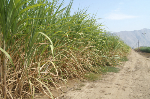 Peru Süd