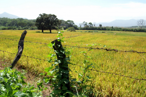 Equador Süd