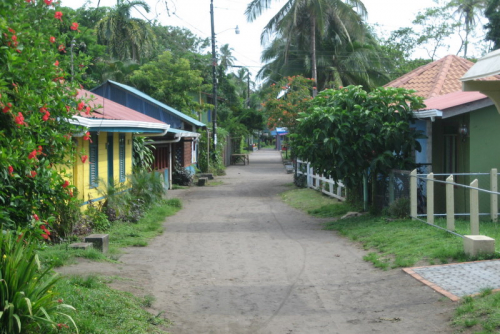 67 3 Tortuguero 017